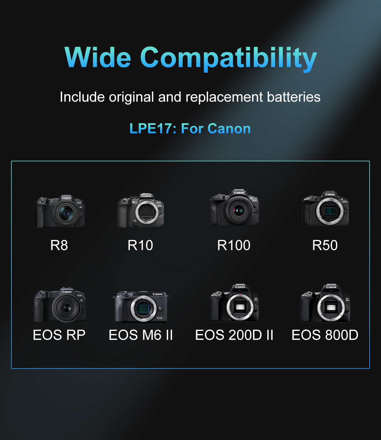 LP-E17용 20W USB-C PD 듀얼 슬롯 충전기 - Canon Camera Eos R50 리뷰 및 가격